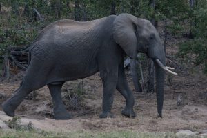 Formule coaching action