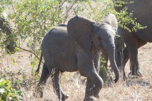 Formule «coaching méthodologie»